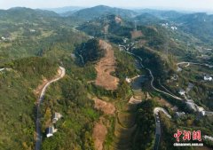 重庆綦江建成全市首个全国“林电共安”示范区